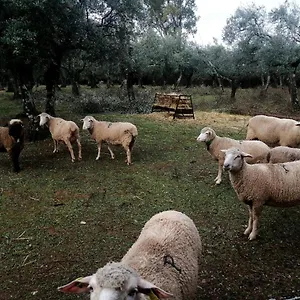 el-venero-de-mostoles.es-andalucia.com/